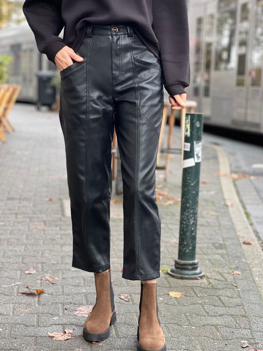 BSB Hose Lederoptik